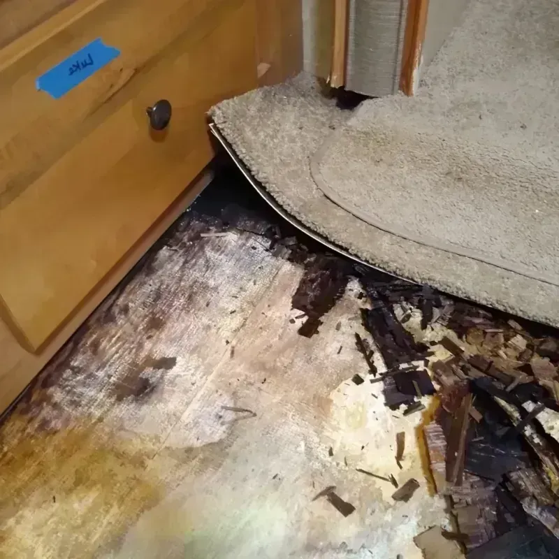 Best Wood Floor Water Damage Service in West Leechburg, PA